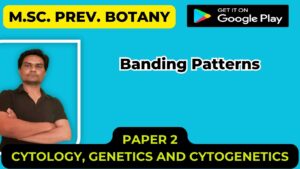 Read more about the article Banding Patterns