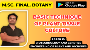 Read more about the article Basic technique of plant tissue culture