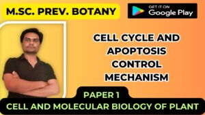 Read more about the article Cell Cycle and Apoptosis :control mechanism