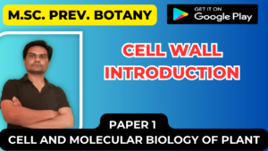 Read more about the article Cell wall introduction