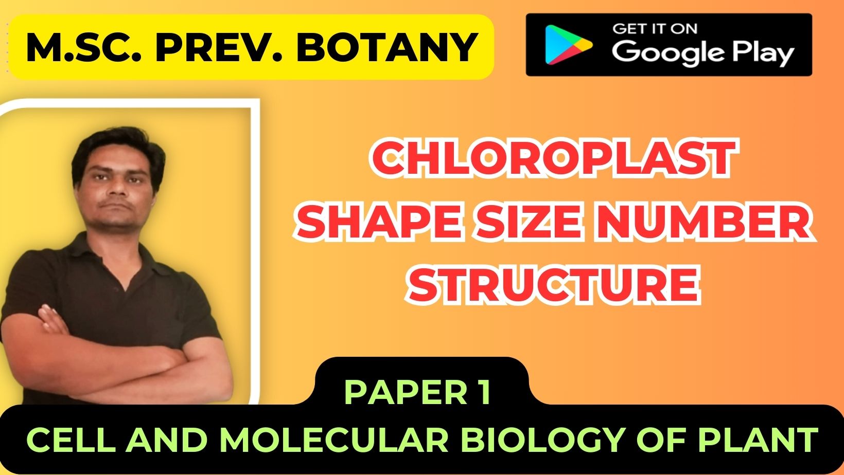 Read more about the article Chloroplast shape size number structure