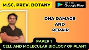Read more about the article DNA Damage and Repair