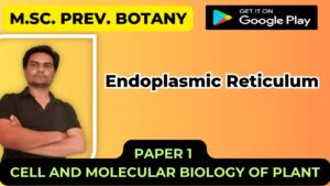 Read more about the article Endoplasmic Reticulum