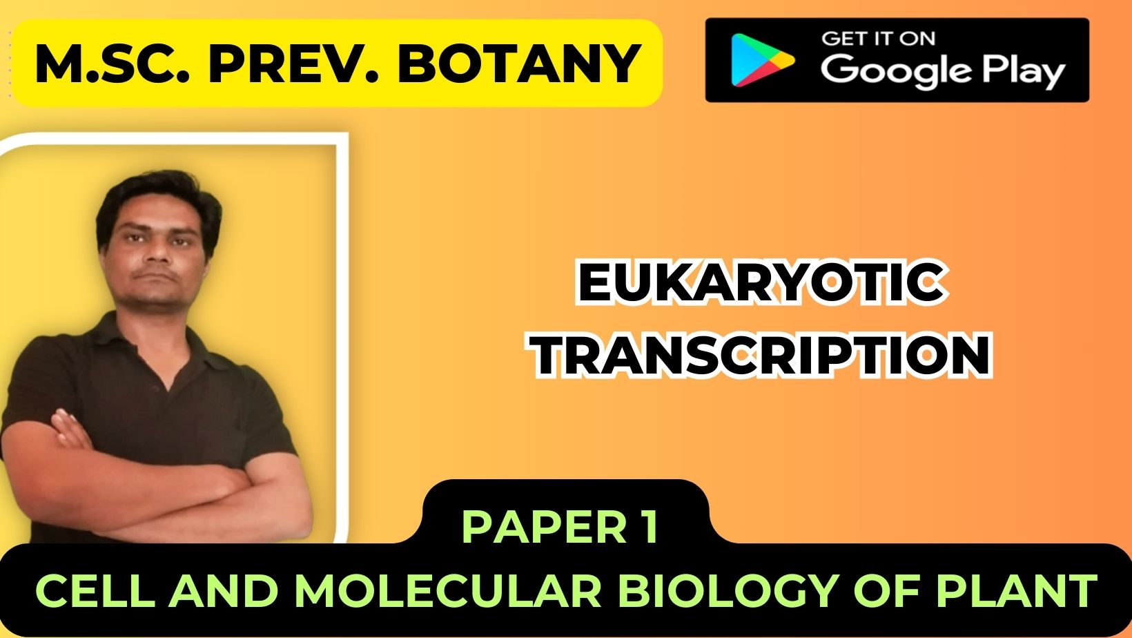 You are currently viewing Eukaryotic transcription