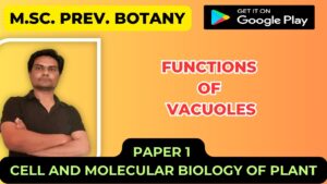 Read more about the article FUNCTIONS OF VACUOLES