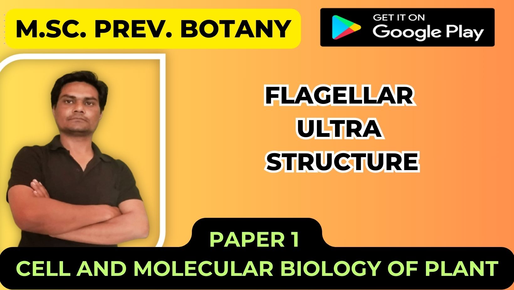 Read more about the article Flagellar Ultra structure