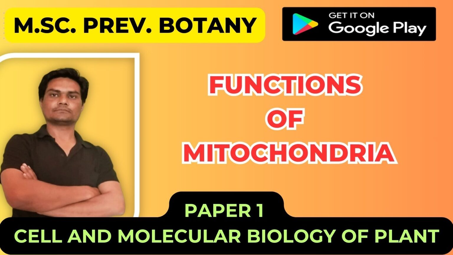 Functions of Mitochondria