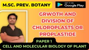 Read more about the article GRWOTH AND DIVISION OF CHLOROPLASTS OR PROPLASTIDE