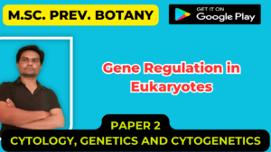 Read more about the article Gene Regulation in Eukaryotes