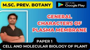 Read more about the article General Characters of Plasma membrane
