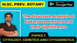 Read more about the article The Structure Analysis of Eukaryotes Introns and their Significance