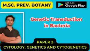 Read more about the article Genetic Transduction in Bacteria