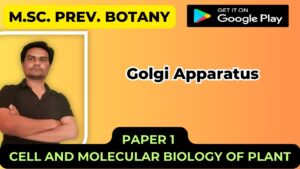 Read more about the article Golgi Apparatus