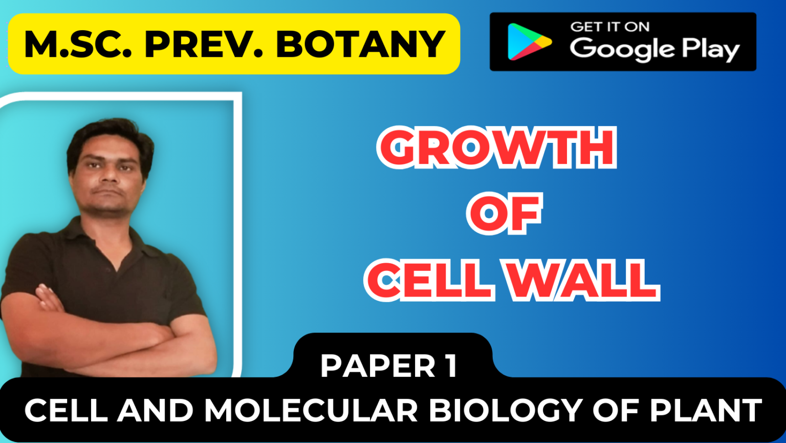 Growth of cell wall