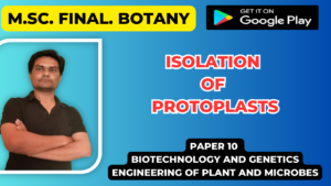 Read more about the article Isolation of protoplasts