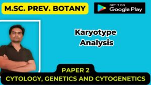 Read more about the article Karyotype Analysis