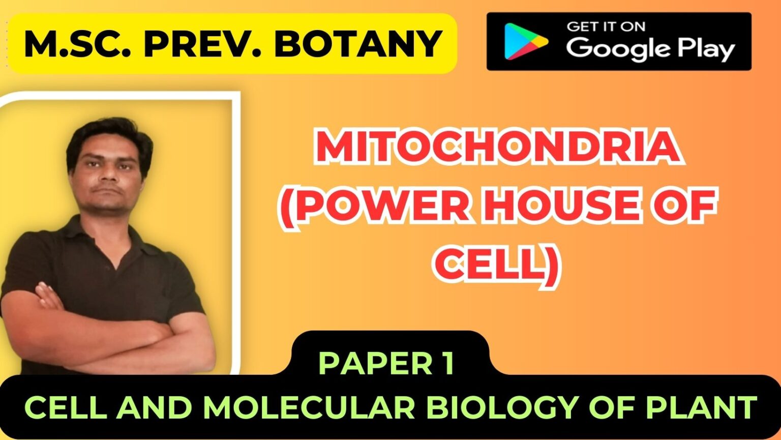 Mitochondria (Power house of cell)