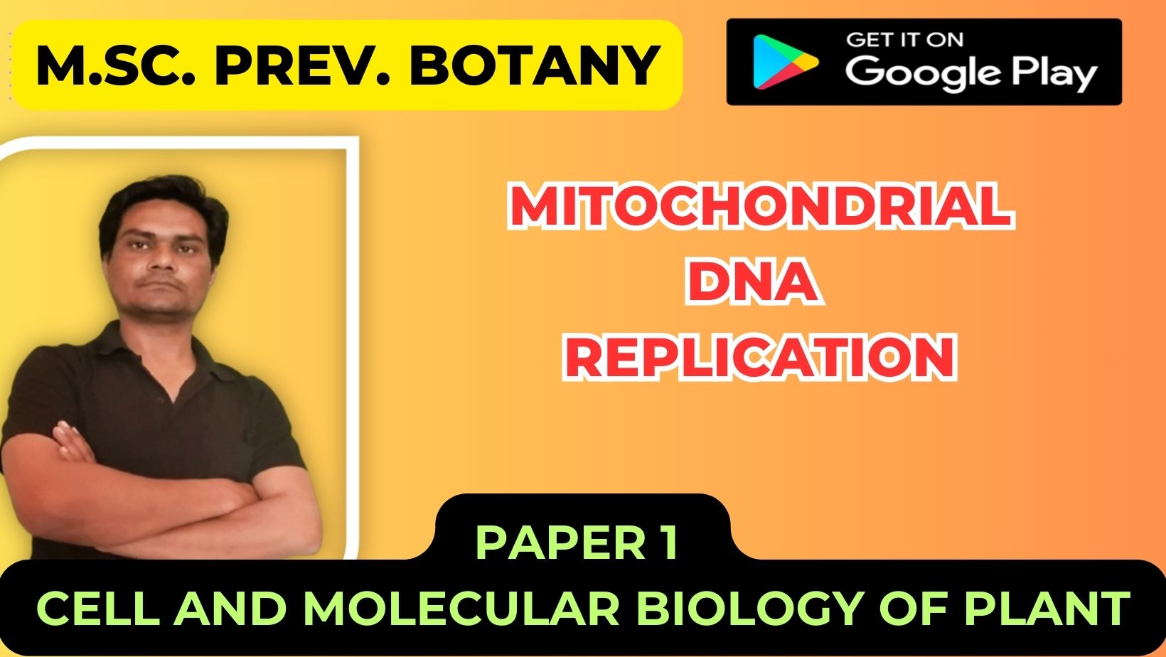 Read more about the article Mitochondrial DNA replication