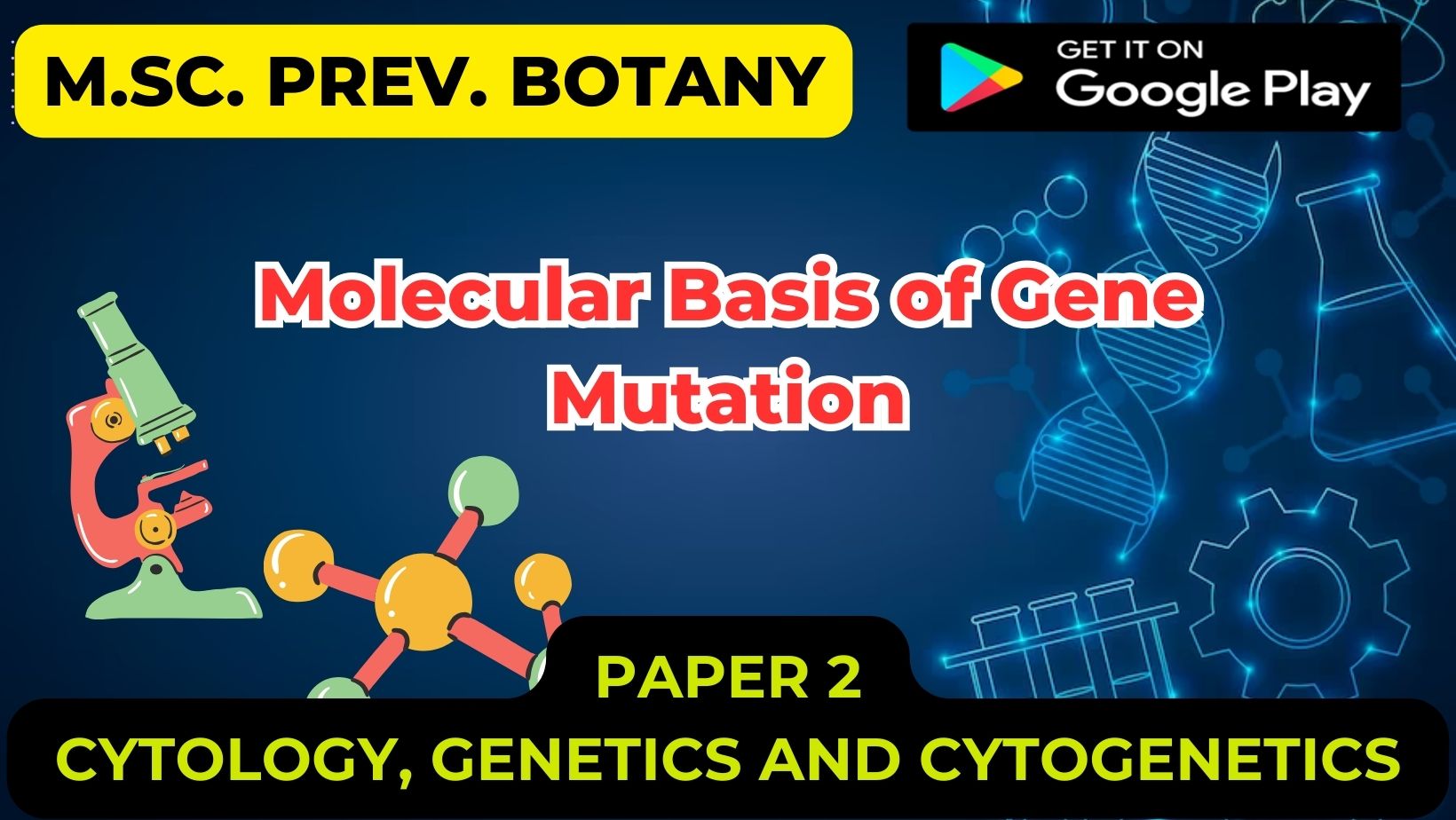 Read more about the article Molecular Basis of Gene Mutation