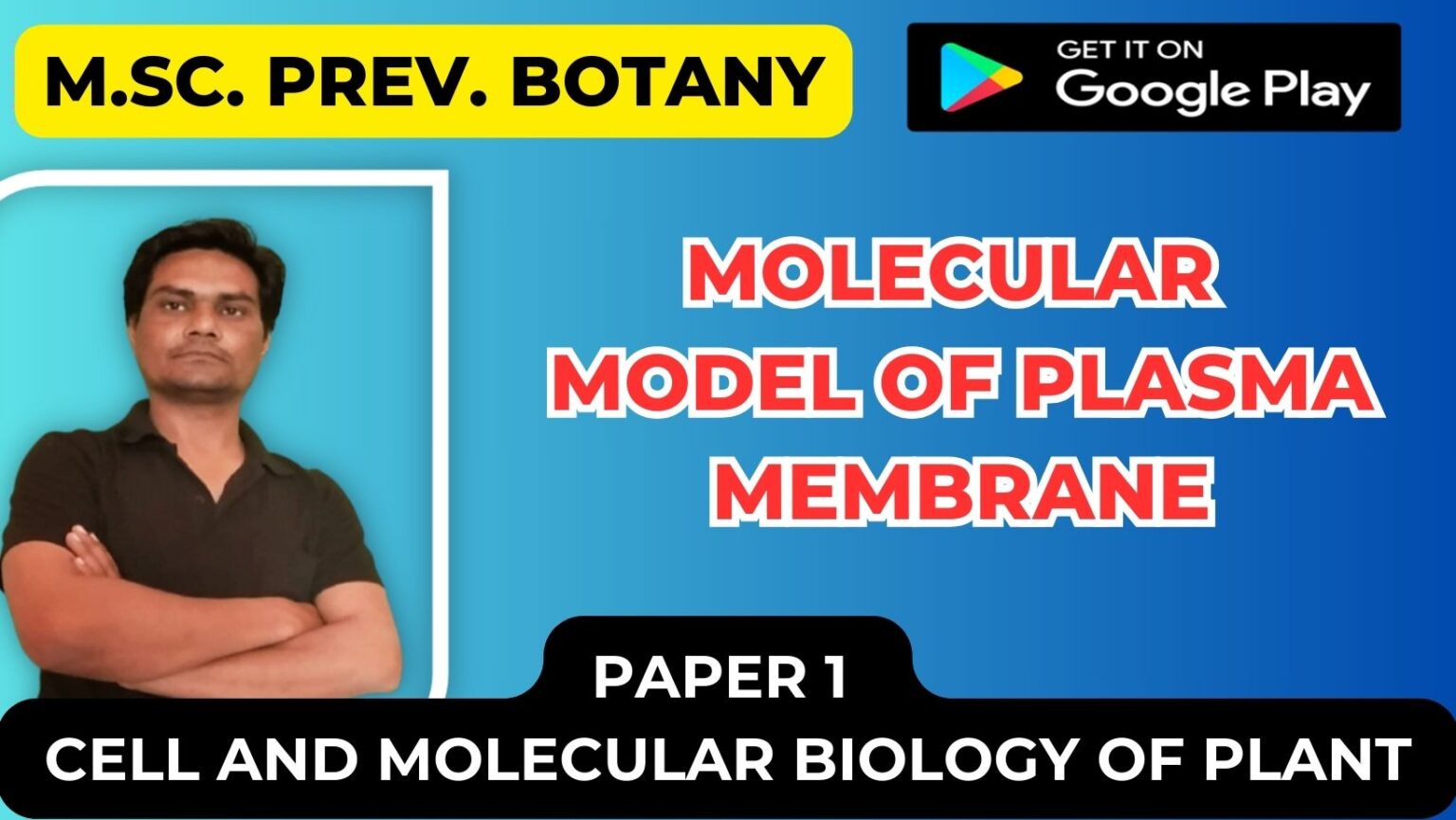 Molecular Model of Plasma membrane