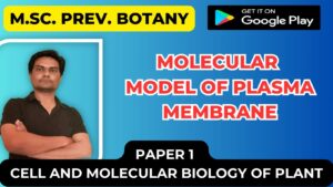Read more about the article Molecular Model of Plasma membrane