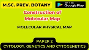 Read more about the article Construction of Molecular Map