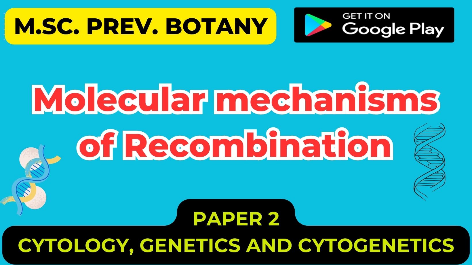 Molecular mechanisms of Recombination