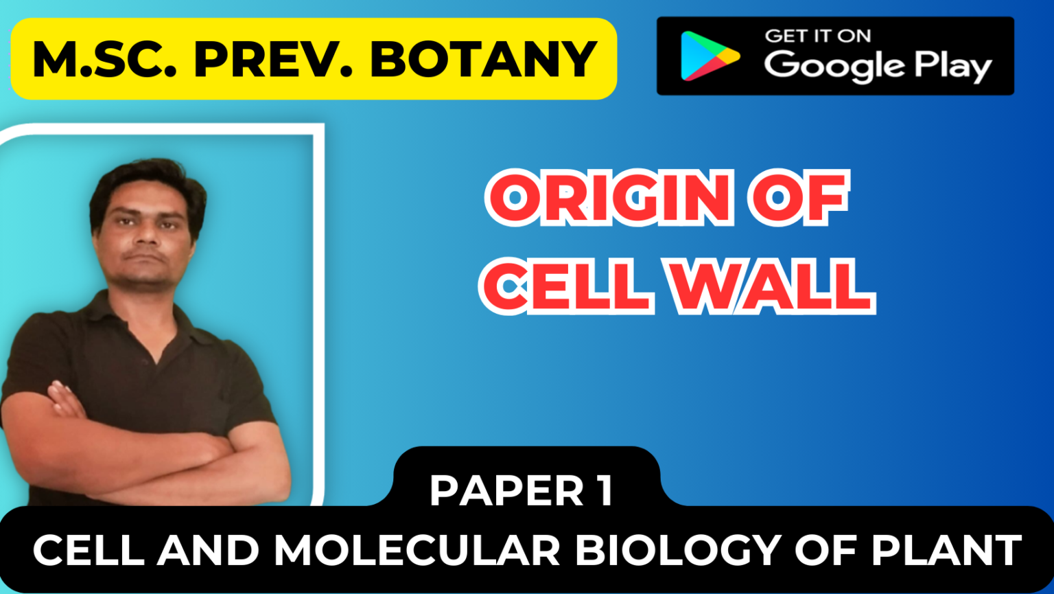 Origin of Cell wall