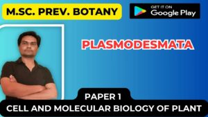 Read more about the article PLASMODESMATA