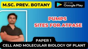 Read more about the article PUMPS SITES FOR ATPase