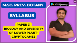 Read more about the article Paper 3 Biology and Diversity of Lower Plant- Cryptogames
