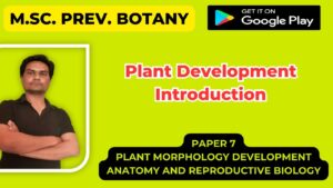 Read more about the article Plant Development Introduction
