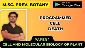 Read more about the article Programmed cell death