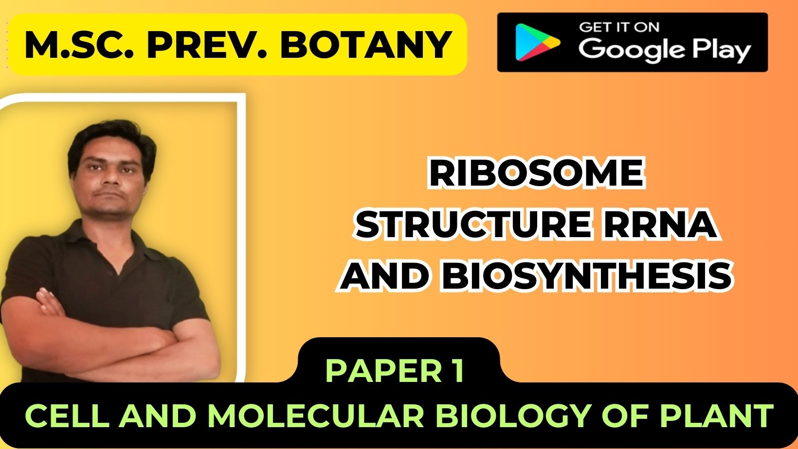 Read more about the article Ribosome Structure rRNA and Biosynthesis