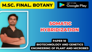Read more about the article Somatic Hybridization