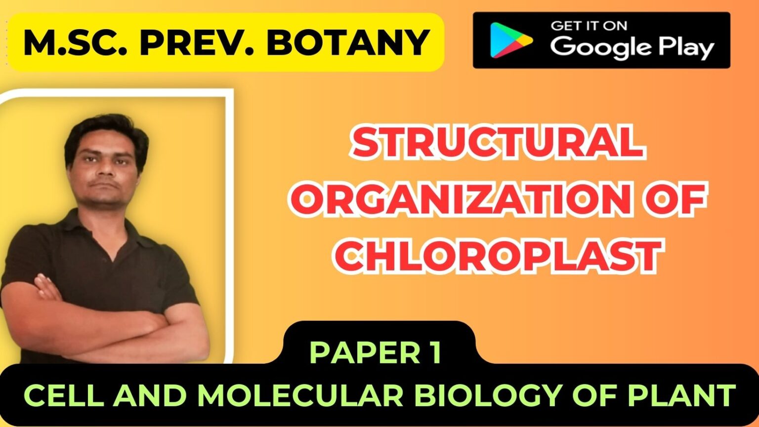 Structural organization of chloroplast