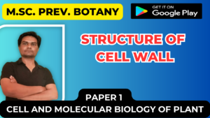Read more about the article Structure of Cell wall