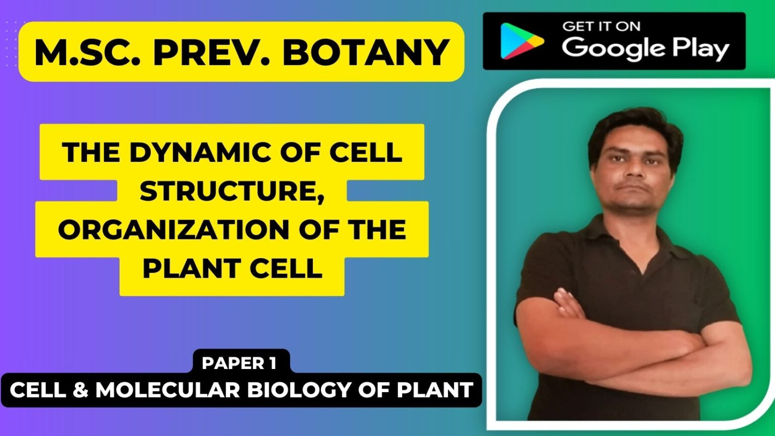 The dynamic of cell structure, organization of the plant cell