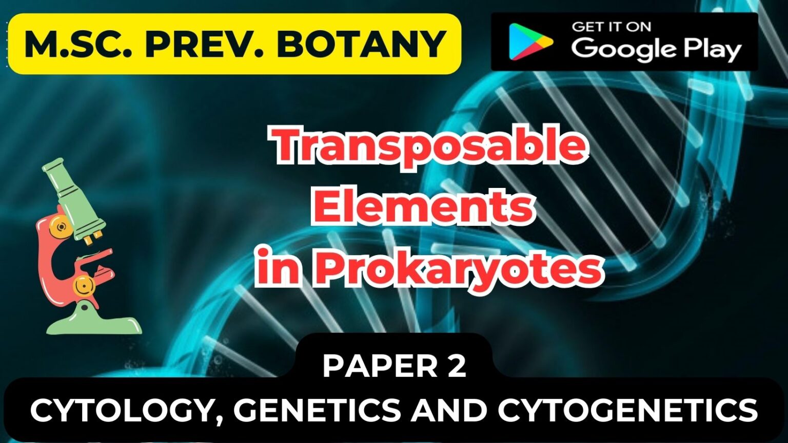 Transposable Elements in Prokaryotes
