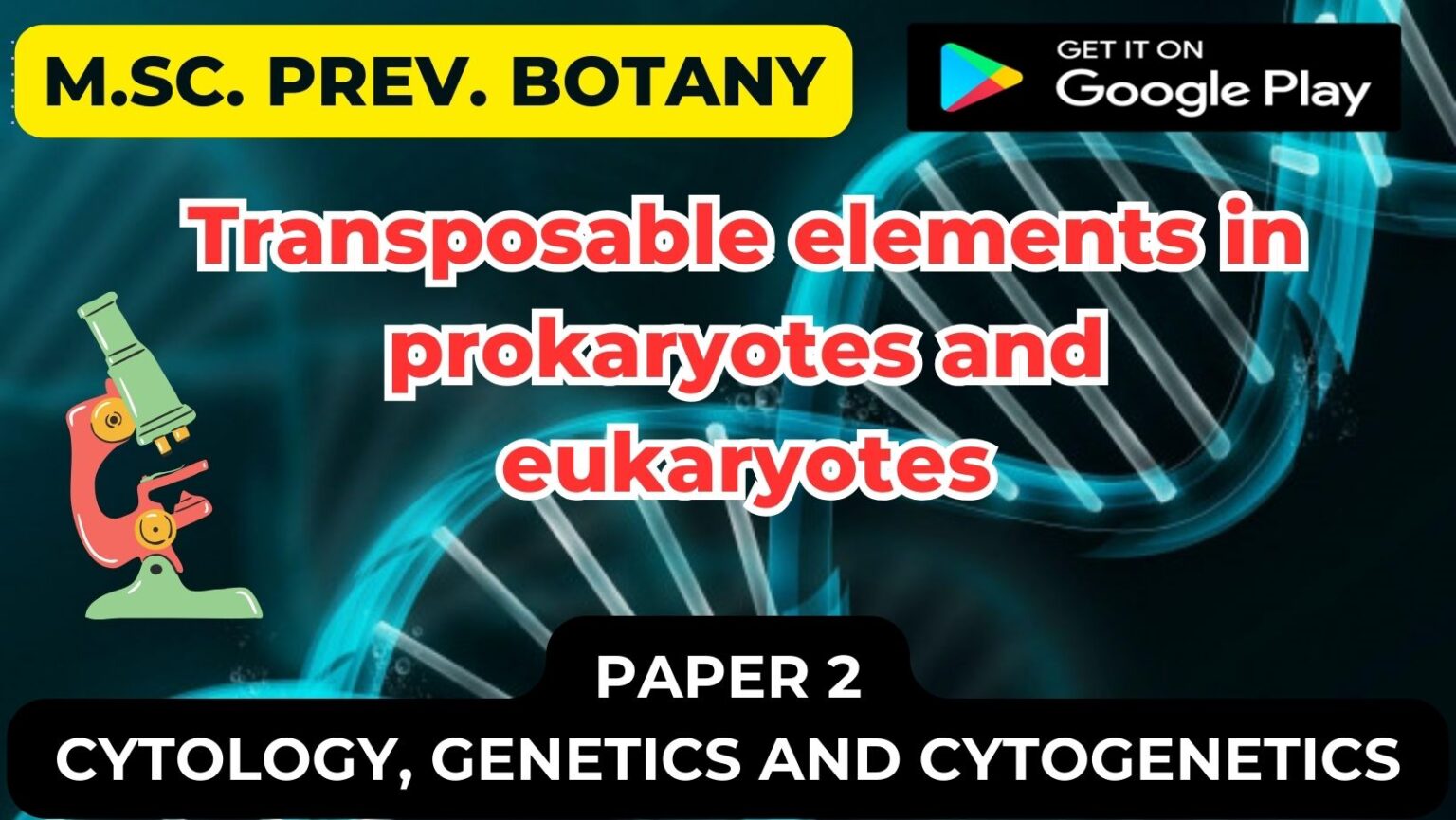Transposable elements in prokaryotes and eukaryotes