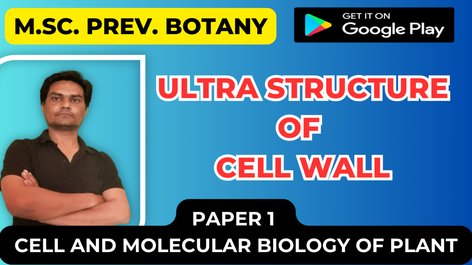 Ultra structure of cell wall
