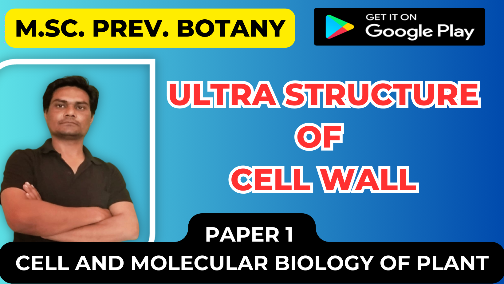 Read more about the article Ultra structure of cell wall