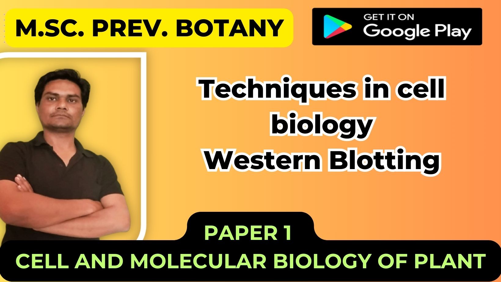 Read more about the article Western Blotting