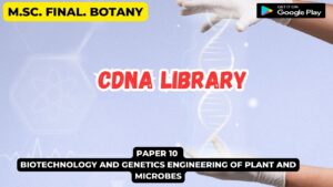 Read more about the article cDNA Libraries