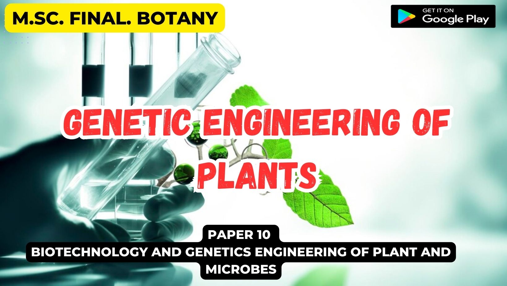Read more about the article Genetic Engineering of Plants: Aims strategies for development of transgenic  