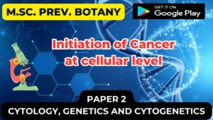 Read more about the article Initiation of Cancer at cellular level