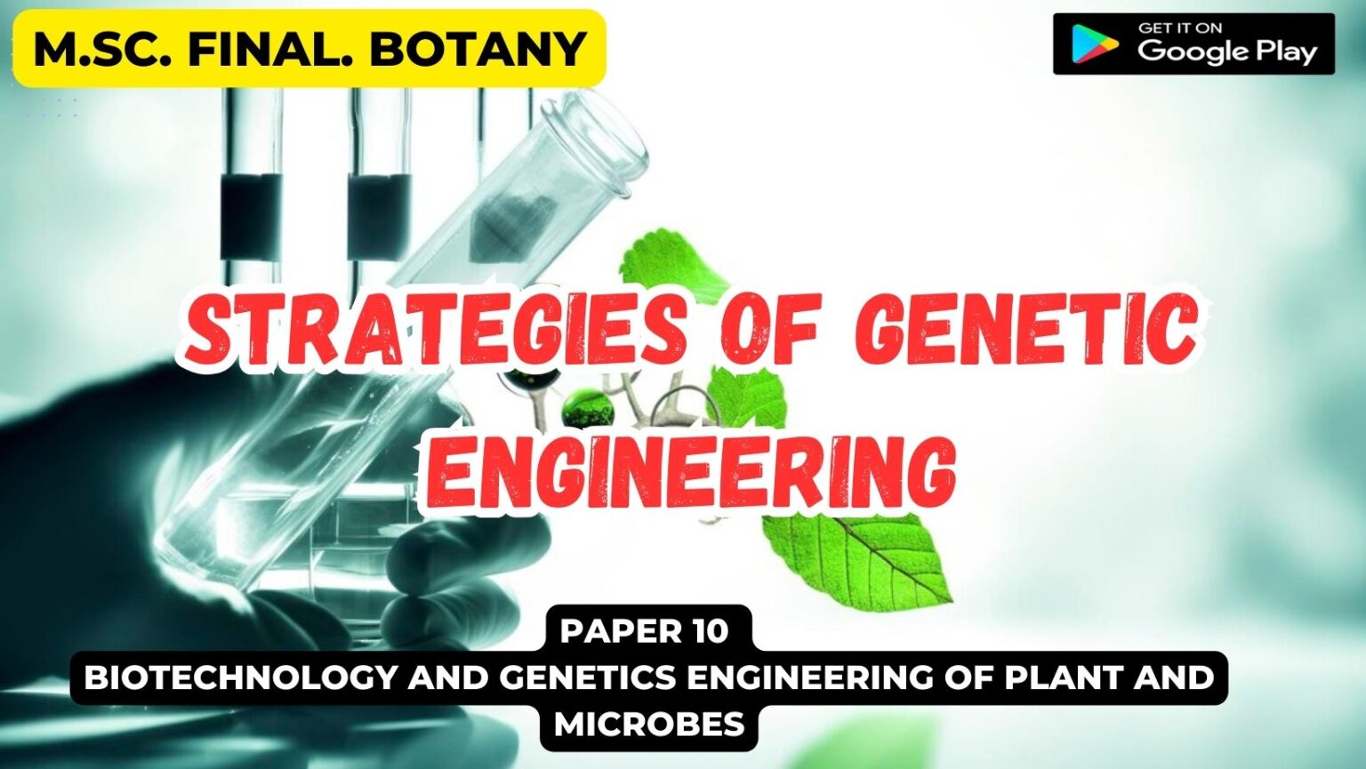 Strategies of Genetic Engineering