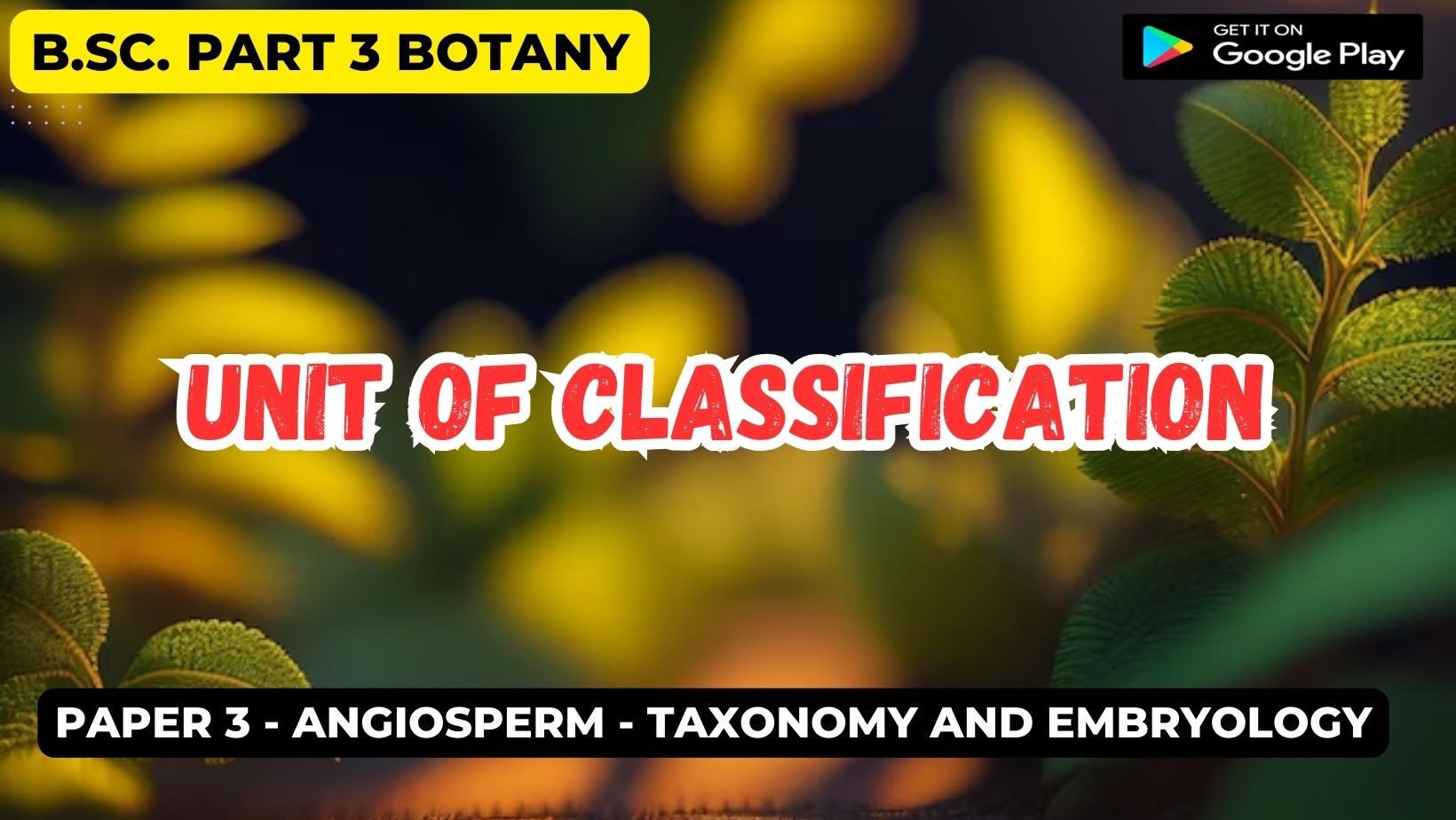Read more about the article Unit of Classification