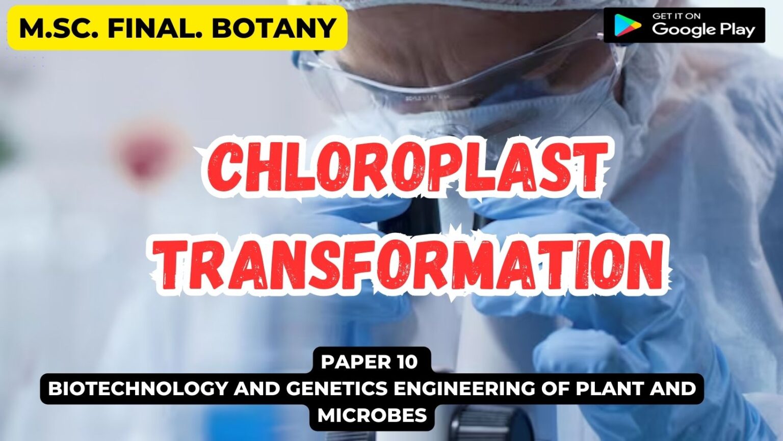 Chloroplast Transformation