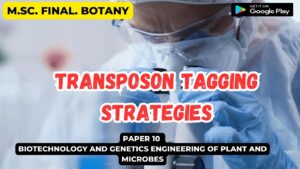 Read more about the article Transposon Tagging Strategies